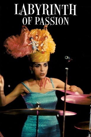 LABYRINTH OF PASSION